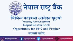 Nepal Rastra Bank Job Vacancy